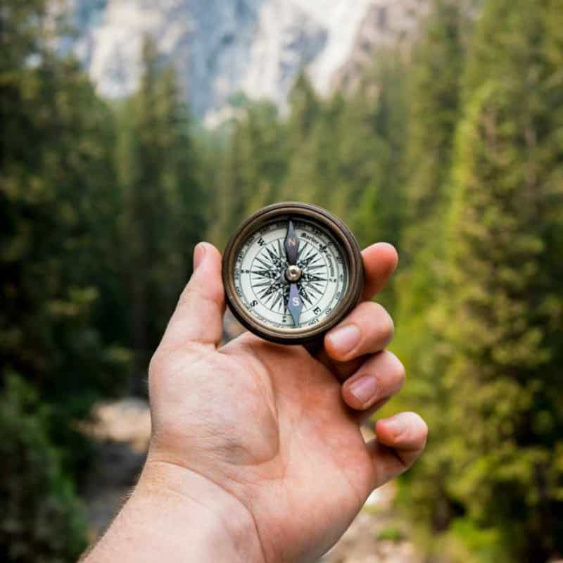 Ein wilder Gebirgswald im Hintergrund. Im Vordergrund eine Hand, welche einen Kompass ins Bild hält.