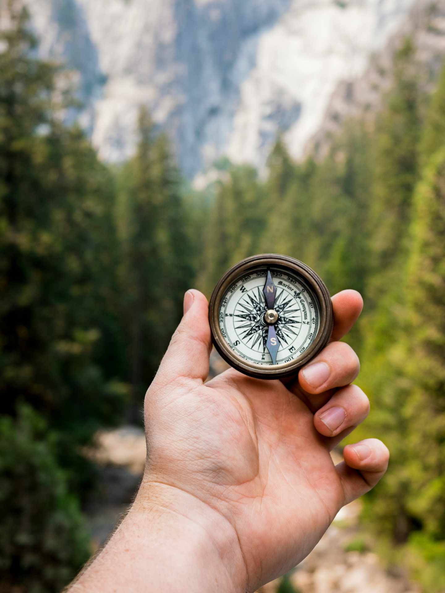Ein wilder Gebirgswald im Hintergrund. Im Vordergrund eine Hand, welche einen Kompass ins Bild hält.