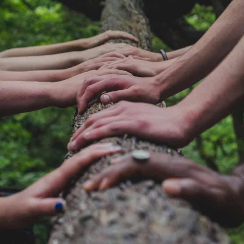 Die Hände mehrerer Personen berühren einen Baumstamm.